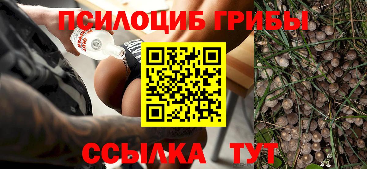 Псилоцибиновые грибы мухоморы Борзя